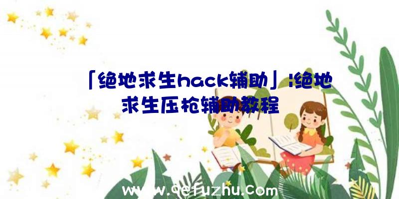 「绝地求生hack辅助」|绝地求生压枪辅助教程